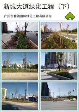 增城新城大道綠化工程 提升城市形象，筑就綠色長廊